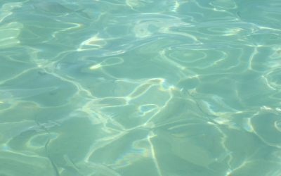 Fix Cloudy Pool Water