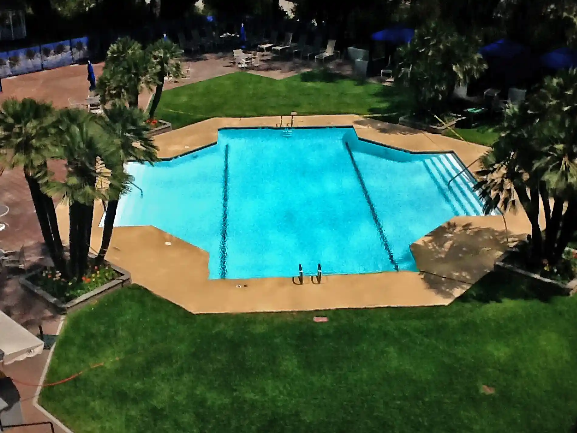A newly remodeled commercial pool in Pasadena featuring custom coping, waterline tiles, and eco-friendly design elements.
