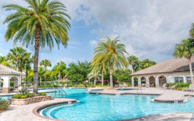 Transforming Your Backyard into a Paradise: Custom Pool Designs in Pasadena